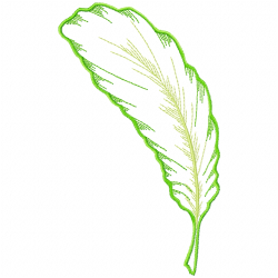 Various Birds Embroidery Design 3 Various Birds Embroidery Design 3